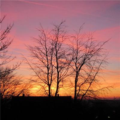 IM体育App下载截图